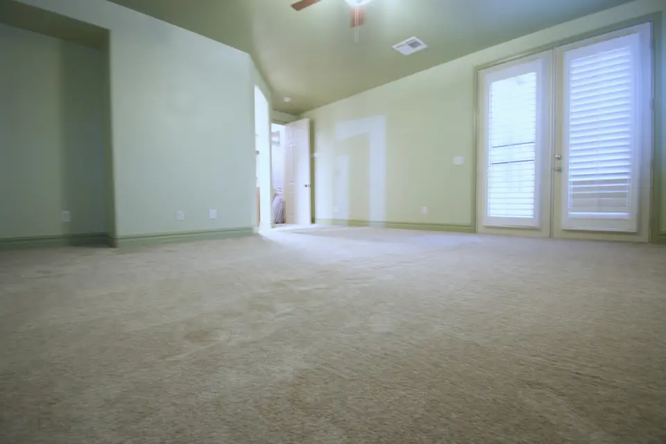 Long bedroom with sage walls, shuttered French doors and new beige carpet