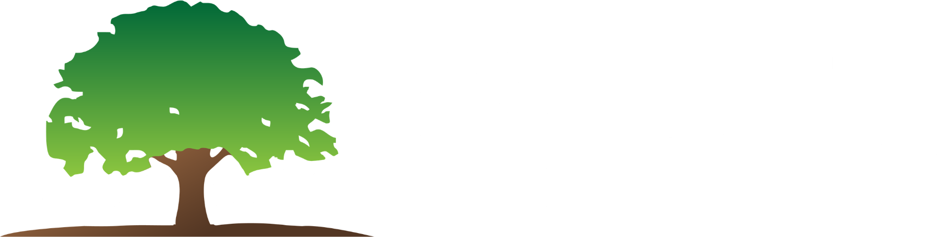 Vegas Flooring Outlet Logo